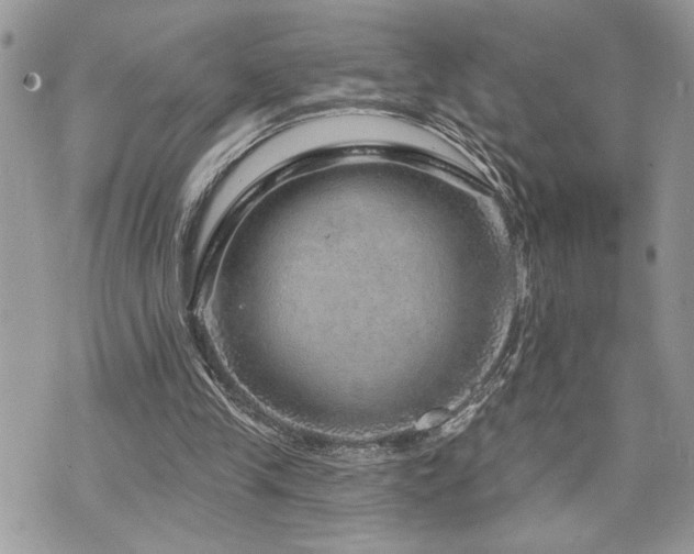 X0000070820245200606161045