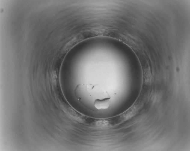 X0000070820279200606161045