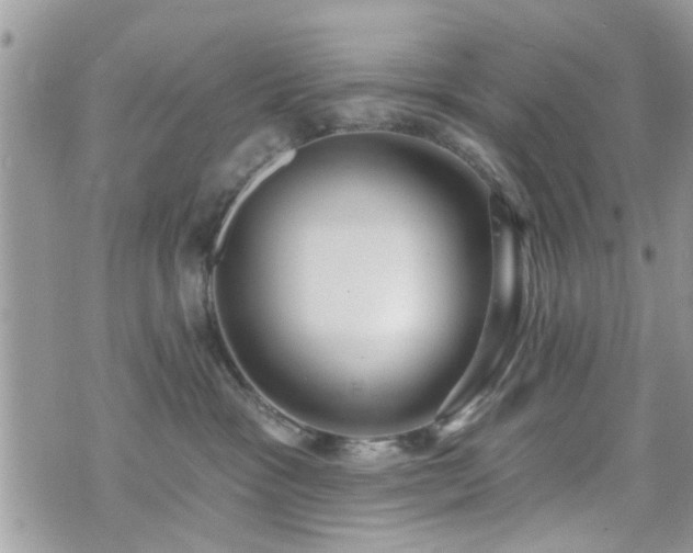 X0000070820333200606161044
