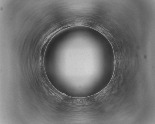 X0000070820338200606161043