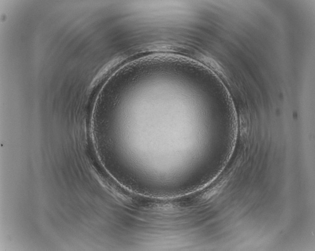 X0000070820349200606161043