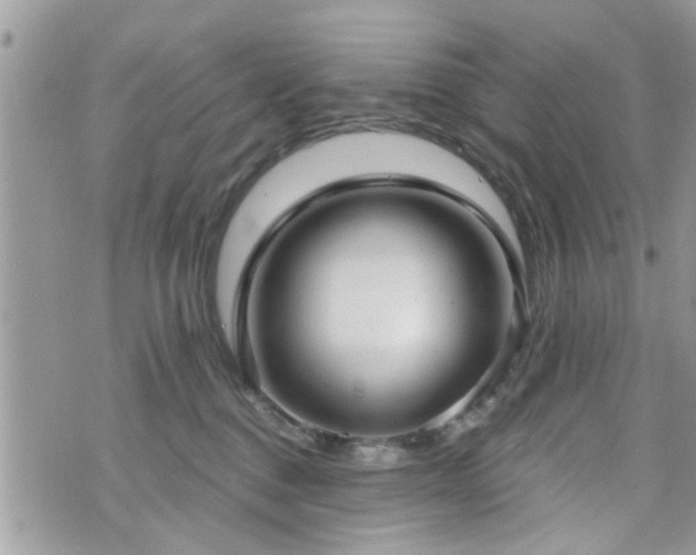 X0000070820376200606161044