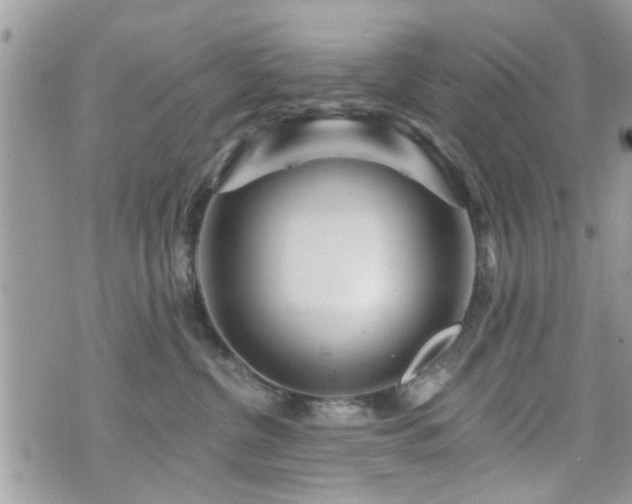 X0000070820380200606161044