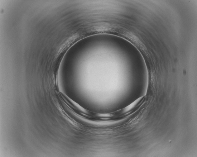 X0000070820397200606161043