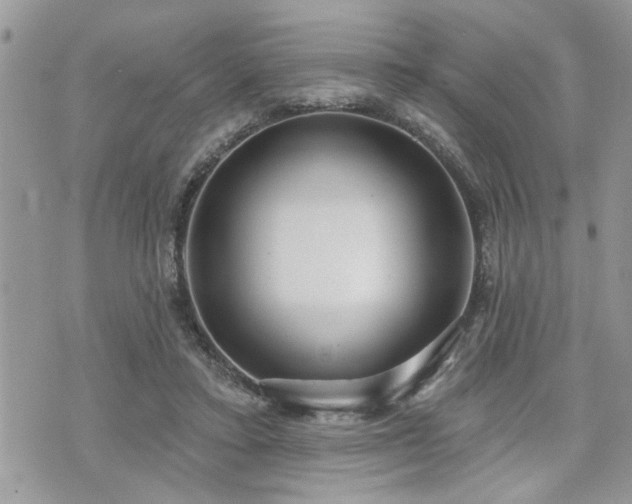 X0000070820403200606161043