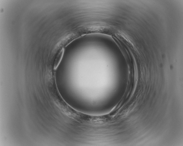X0000070820407200606161043
