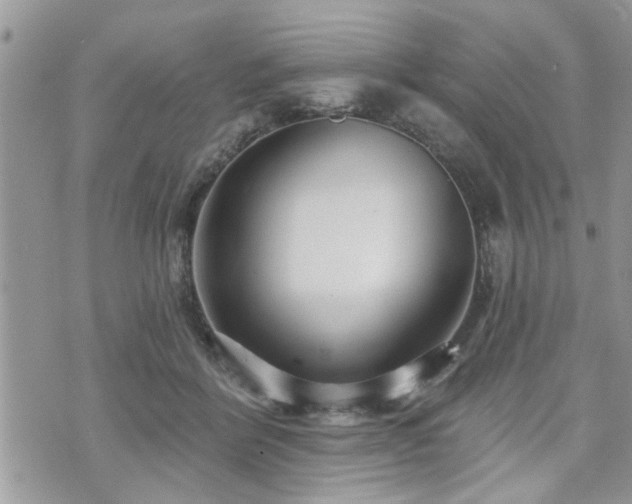 X0000070820412200606161043
