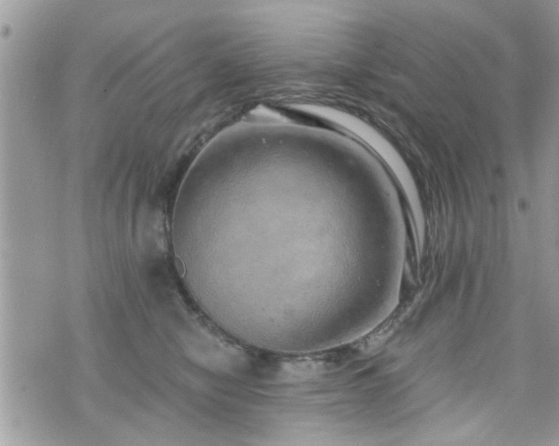 X0000070820470200606161042
