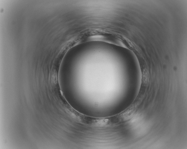 X0000070820474200606161042