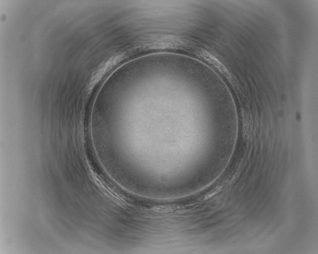 X0000070820482200606161041