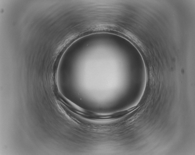 X0000070820485200606161041