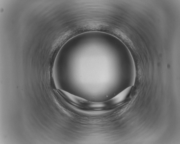 X0000070820493200606161041
