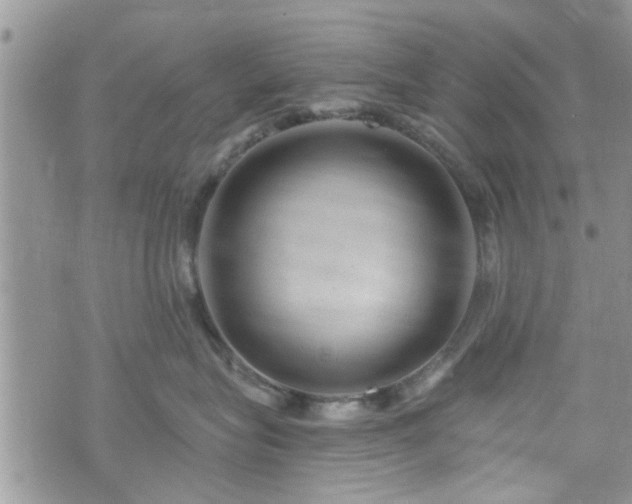 X0000070820575200606161041