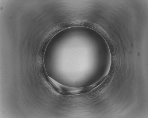 X0000070820593200606161040