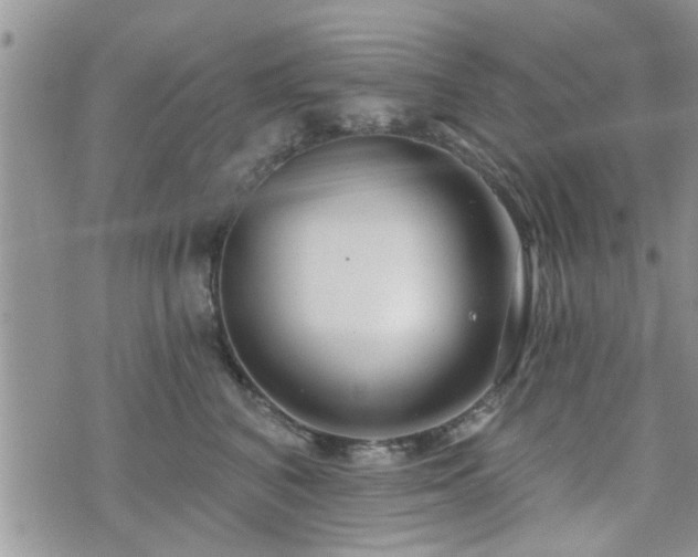 X0000070820616200606161039