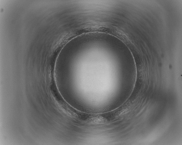 X0000070820642200606161039
