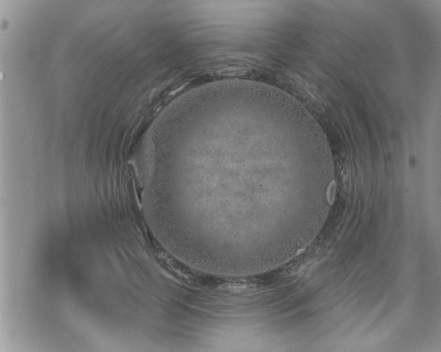 X0000070820745200606161037