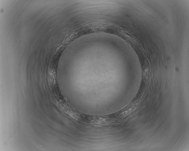 X0000070820772200606161037