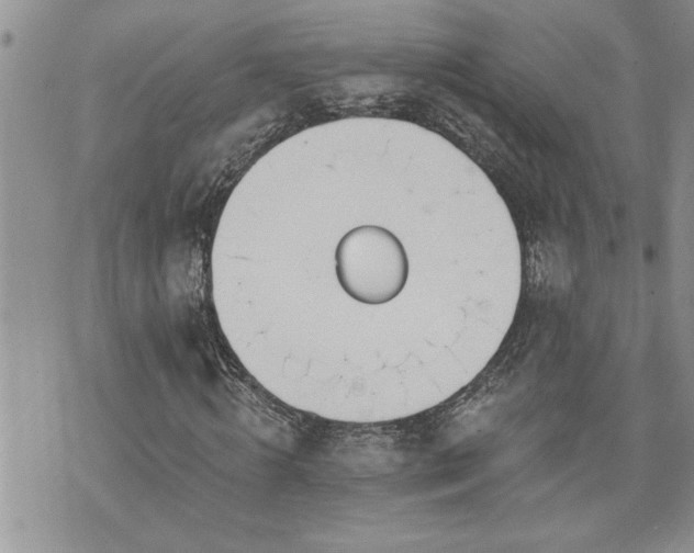 X0000070820820200606161035