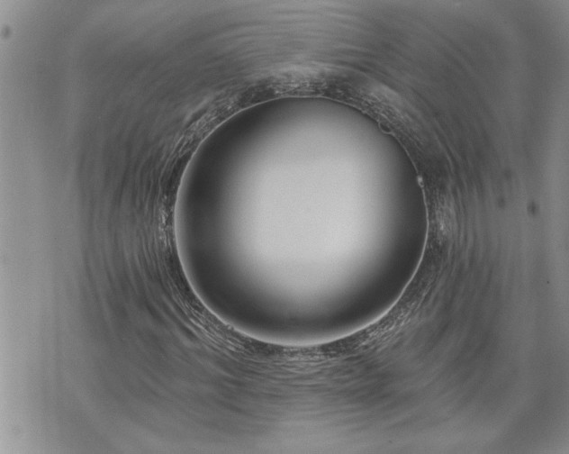 X0000070820964200606161033