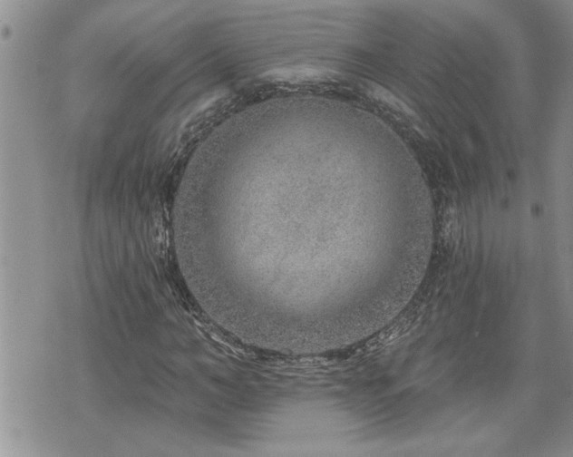 X0000070820966200606161033