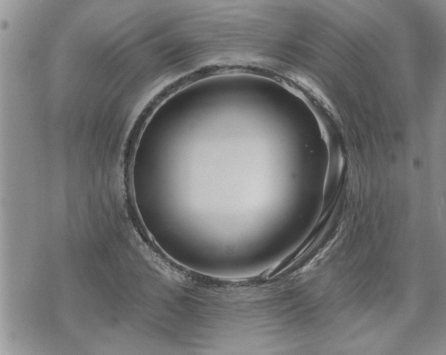X0000070820976200606161033