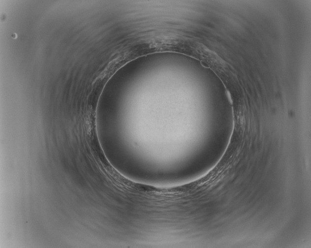 X0000070821012200606161032