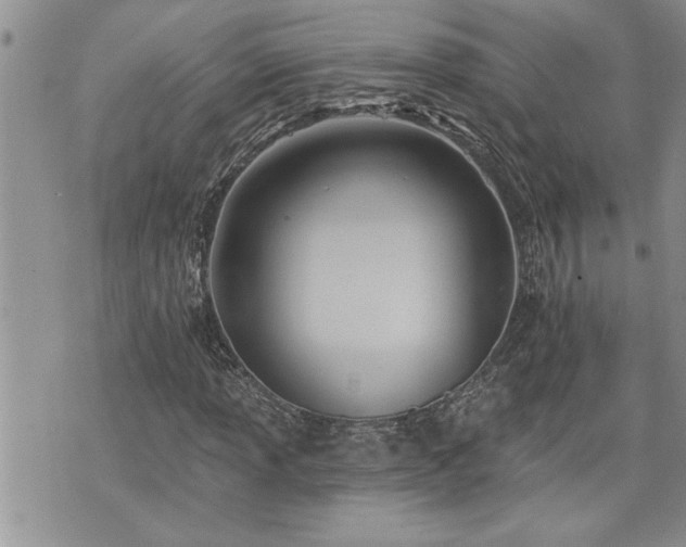 X0000070821013200606161032