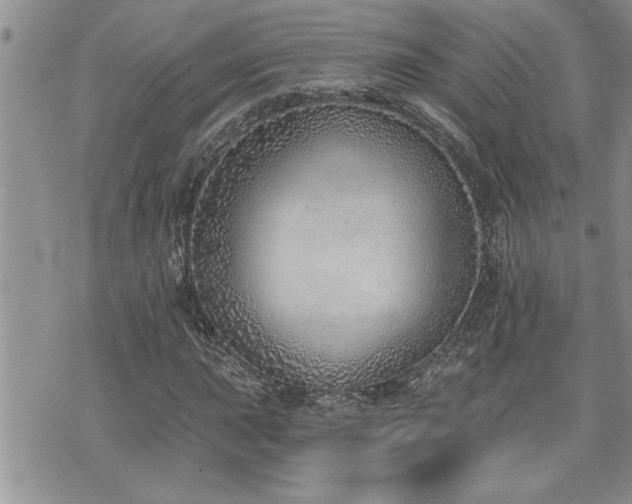 X0000070821015200606161032