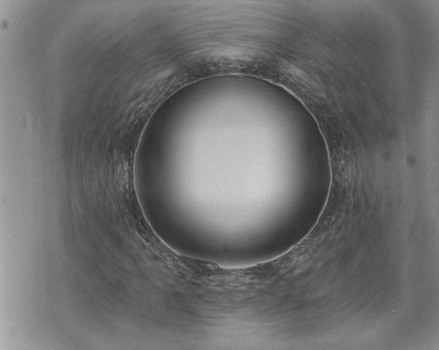 X0000070821061200606161032