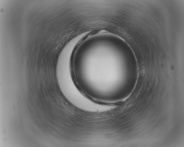 X0000070821108200606161030