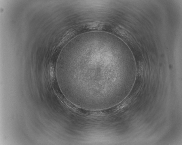 X0000070821154200606161030