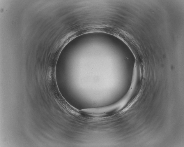 X0000070821161200606161030
