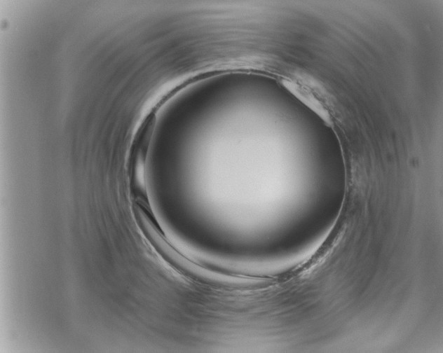 X0000070821184200606161030