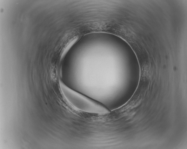 X0000070821202200606161029