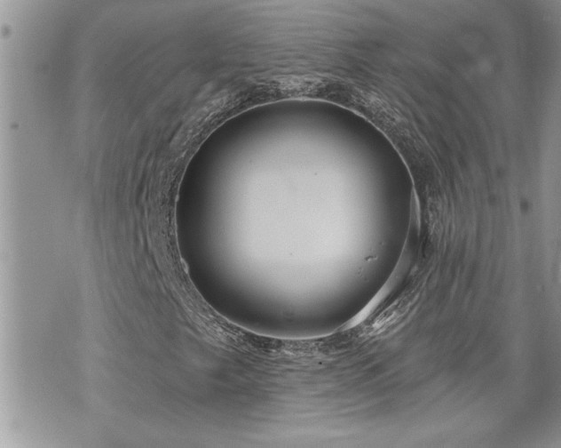 X0000070821249200606161029
