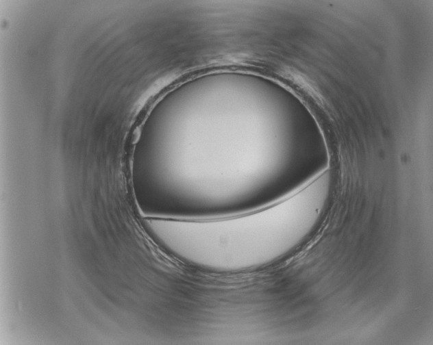 X0000070821308200606161027