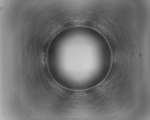 X0000070821346200606161027