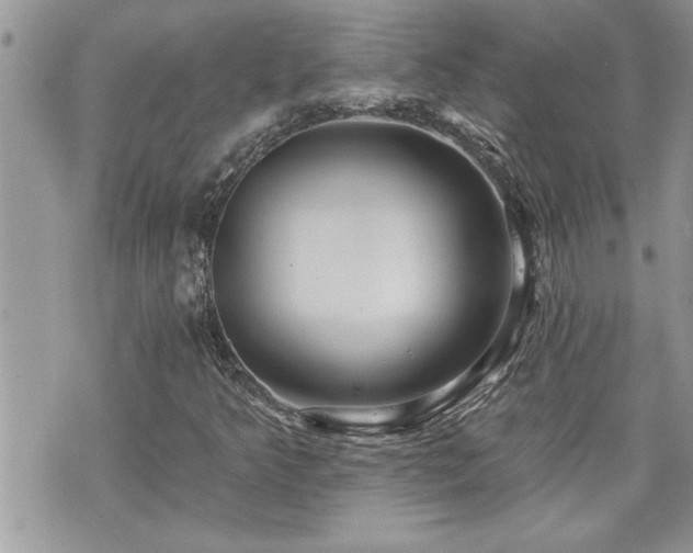 X0000070821349200606161027