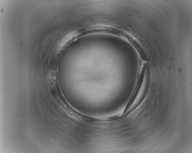 X0000070821355200606161027