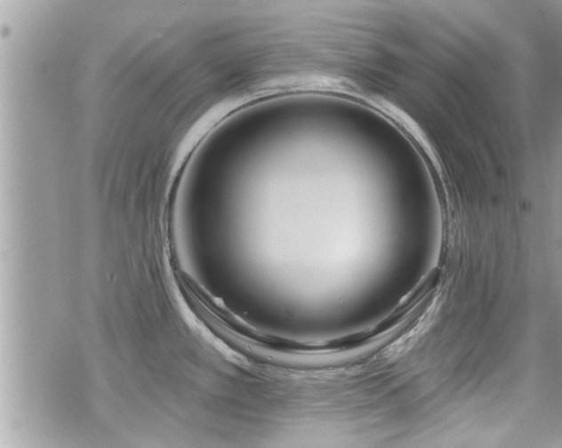 X0000070821389200606161026