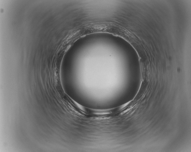 X0000070821394200606161026
