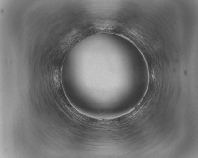 X0000070821396200606161026
