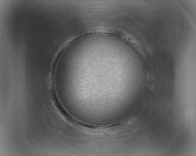 X0000070820012200606191234
