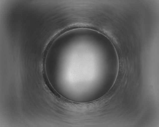 X0000070820015200606191234