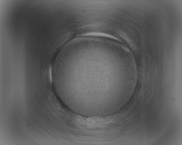 X0000070820022200606191234