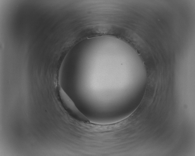 X0000070820031200606191234