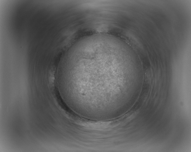 X0000070820032200606191234