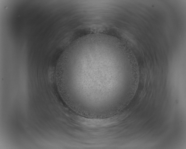 X0000070820034200606191234