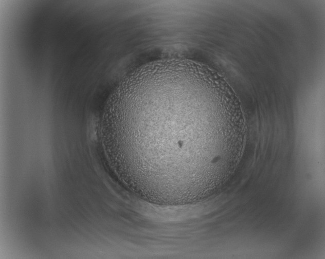 X0000070820038200606191234